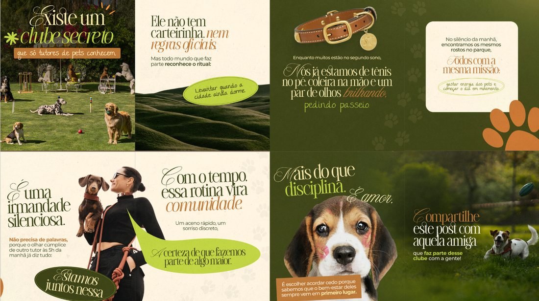 Case de pet e lifestyle